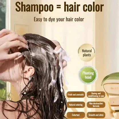 ✨Japanese Long Lasting Natural Hair Dye Shampoo ( Buy 1 Get 2 Free )🔥